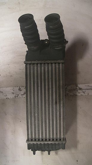 Heating element CITROËN XSARA PICASSO (N68)