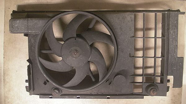 Ventilateur de radiateur électrique PEUGEOT 406 (8B)