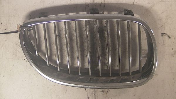 Grill BMW