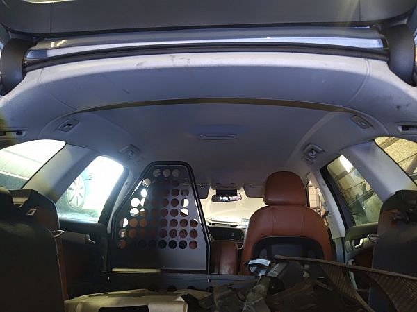 Himmel AUDI A4 B8 Avant (8K5)