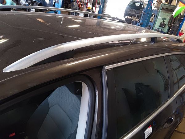 Roof rail VW PASSAT B7 Estate (365)