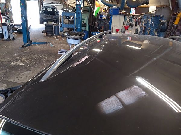Roof rail VW PASSAT B7 Estate (365)