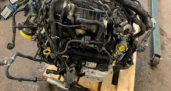 Zylinderkopf FORD FOCUS III Turnier