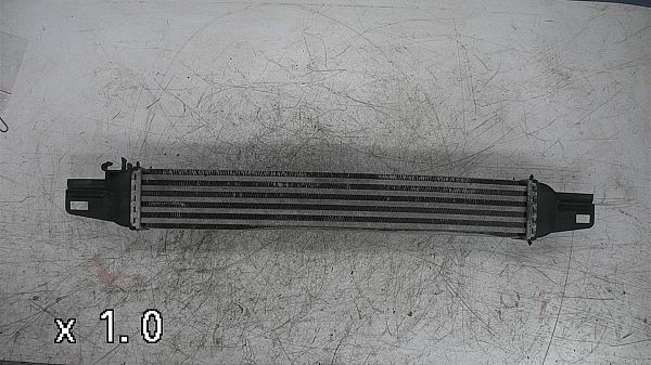 Heating element PEUGEOT BIPPER (AA_)