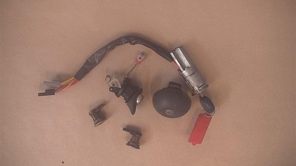 Cilinderslot RENAULT TWINGO I (C06_)