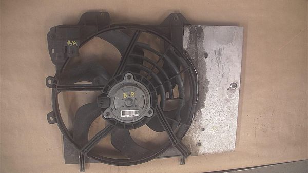 Radiator fan electrical PEUGEOT 207 (WA_, WC_)