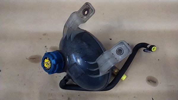 51881755 : Ekspansionsbeholder og Bagklap - Autoparts24