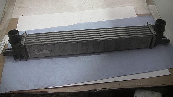Heating element PEUGEOT BIPPER (AA_)