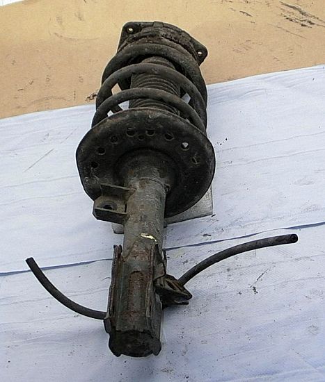 Federbein vorn NISSAN QASHQAI / QASHQAI +2 I (J10, NJ10, JJ10E)