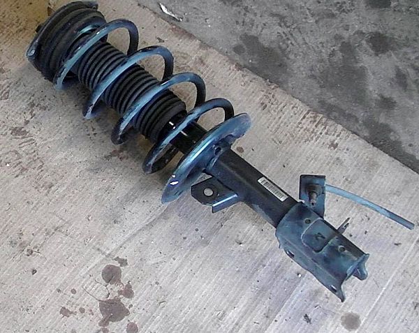Federbein vorn NISSAN QASHQAI / QASHQAI +2 I (J10, NJ10, JJ10E)