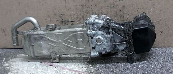 Egr valve SEAT IBIZA Mk IV (6J5, 6P1)