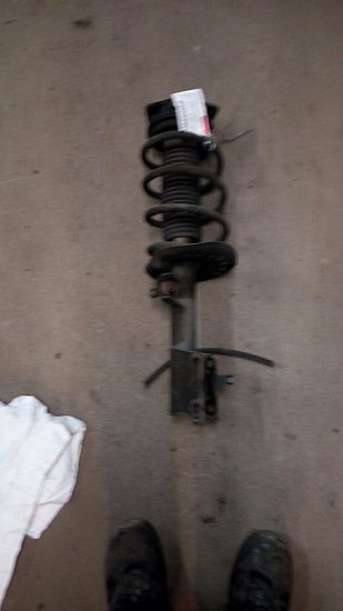 Federbein vorn NISSAN QASHQAI / QASHQAI +2 I (J10, NJ10, JJ10E)