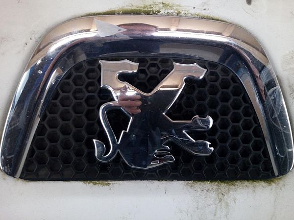 Kühlergrill PEUGEOT BIPPER (AA_)