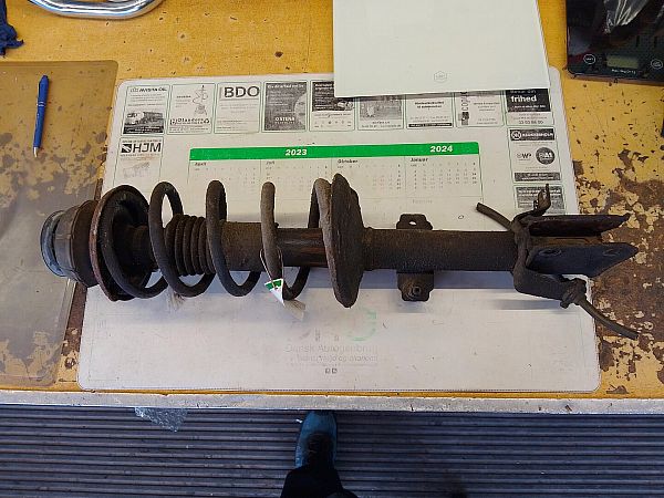 Veerpoot voor DACIA DUSTER (HS_)