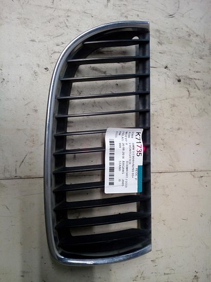 Grill BMW 3 (E90)