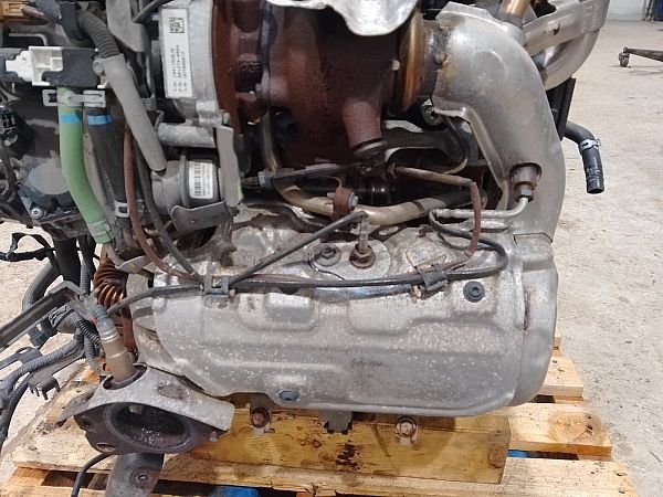 Filtr cząstek stałych NISSAN MICRA V (K14)