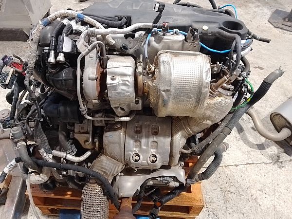 Filtr cząstek stałych FORD KUGA III (DFK)
