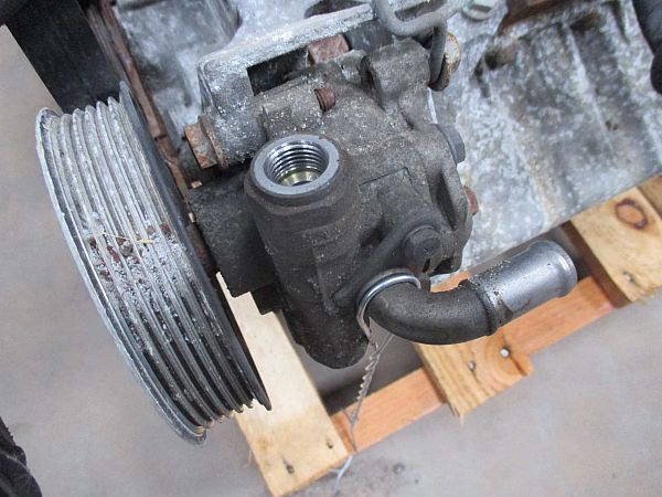 Power steering pump VW CADDY III Box (2KA, 2KH, 2CA, 2CH)