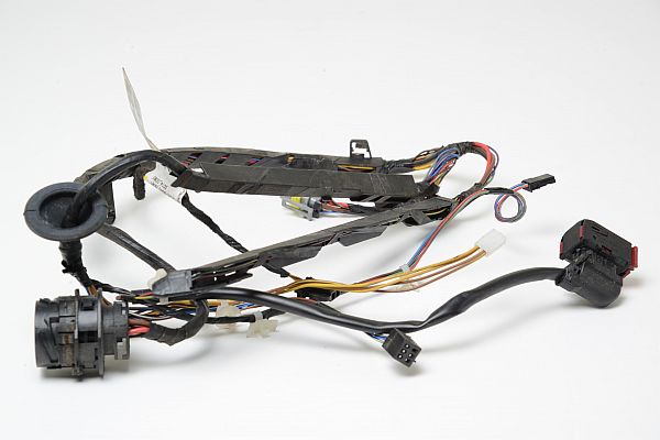 Wiring harness door OPEL CORSA C (X01)