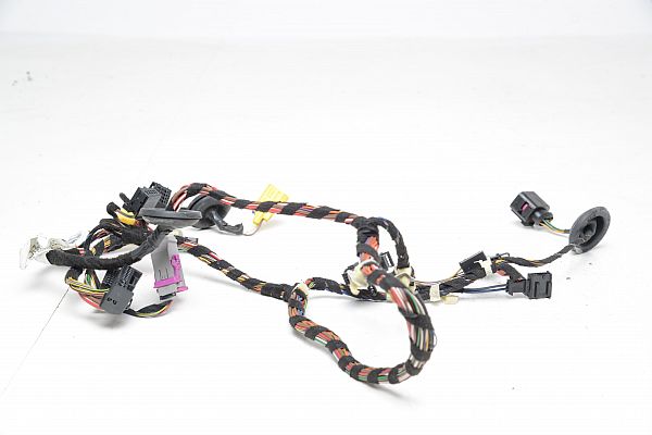 Wiring harness door SKODA OCTAVIA II (1Z3)
