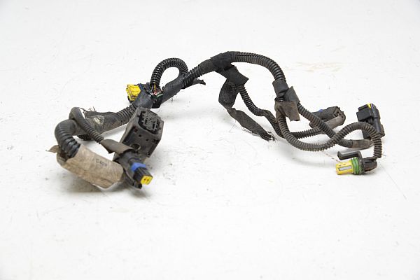 Gearbox wiring loom
