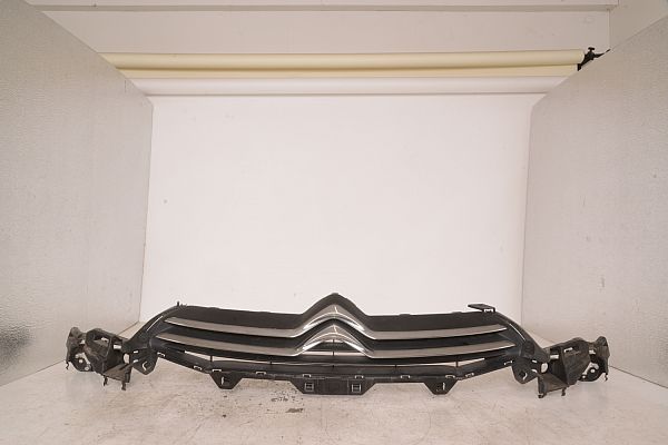 Kølergitter CITROËN C4 II (B7)