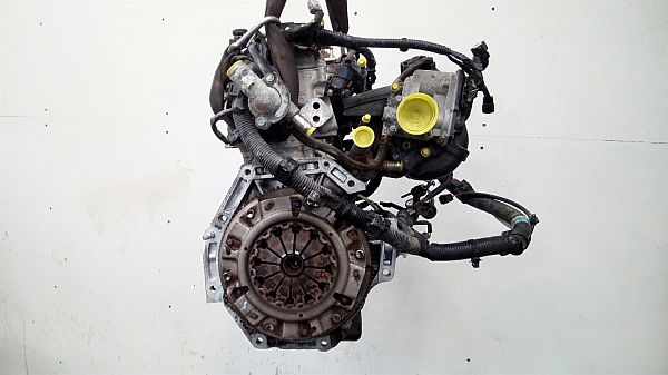 Motor