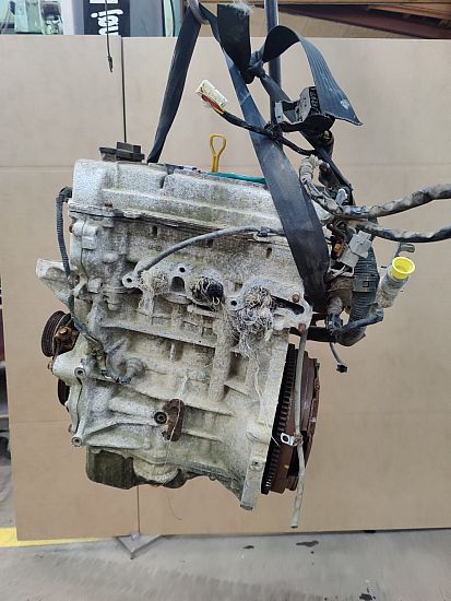 Motor