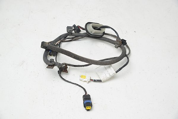 Ledningsnet - bag PEUGEOT 307 CC (3B)