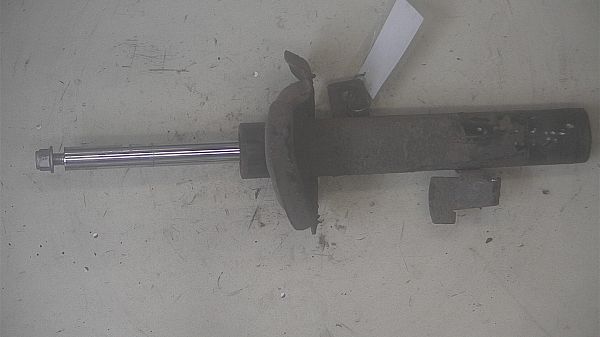 Shock absorber - front FORD C-MAX (DM2)