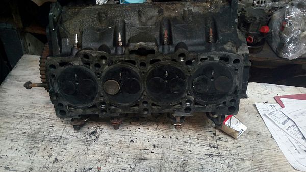 Zylinderkopf VW GOLF Mk IV (1J1)