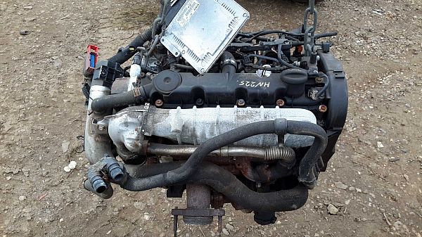 Motor PEUGEOT 306 (7B, N3, N5)