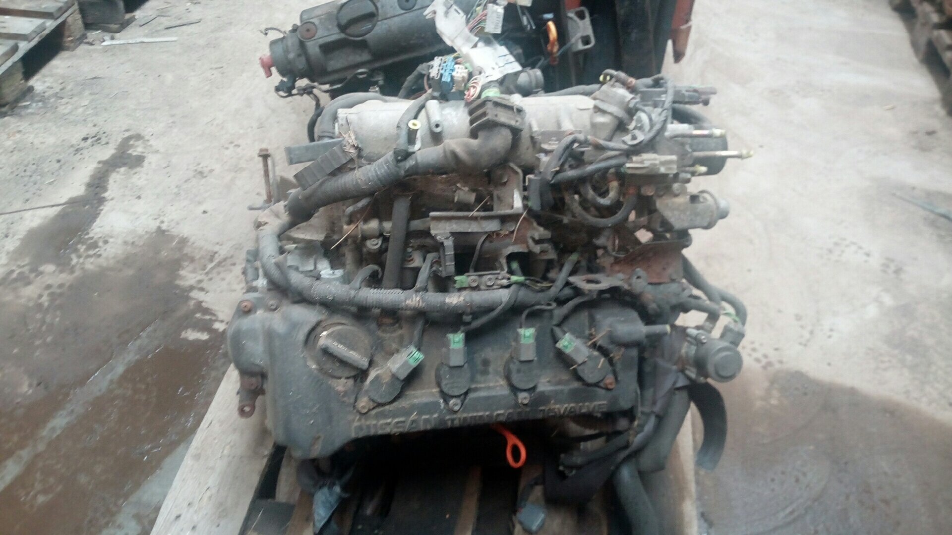 自動車 NISSAN PRIMERA 226-6797664134_0.jpg