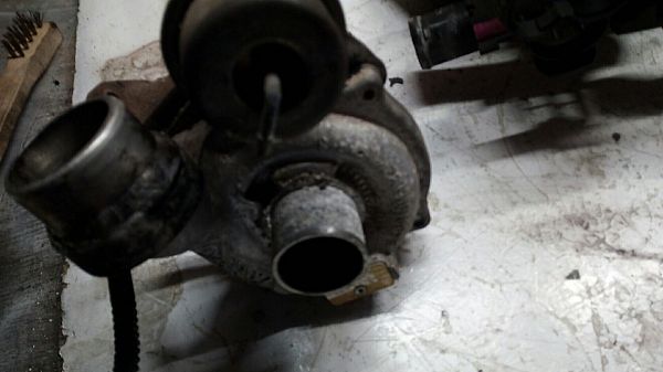 Turbo / G-lader RENAULT CLIO III (BR0/1, CR0/1)