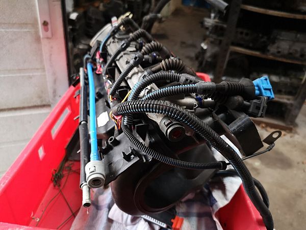 Ansaugkrümmer FORD KA (RB_)