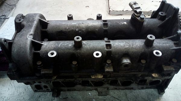 Zylinderkopf FIAT PUNTO EVO (199_)