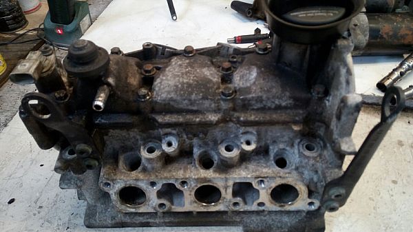 Zylinderkopf SKODA FABIA I Combi (6Y5)