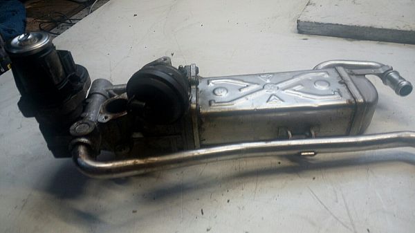 Egr ventil SEAT IBIZA Mk IV (6J5, 6P1)