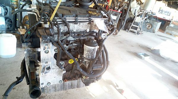 Motor VW TOURAN (1T1, 1T2)