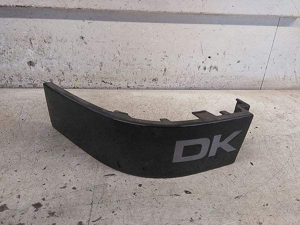 Rear light trim molding