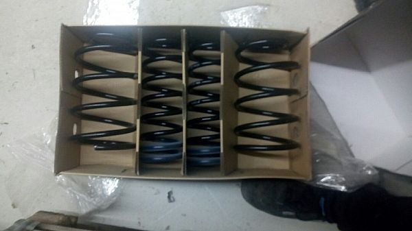 Spiralfedersatz Sport vorn FORD