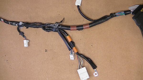 Wiring harness door TOYOTA LAND CRUISER 200 (_J2_)