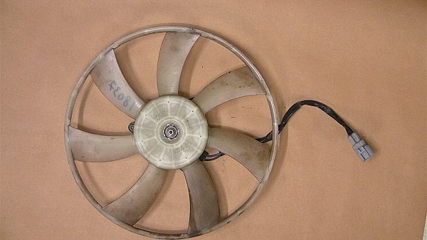 Radiator fan electrical TOYOTA RAV 4 III (_A3_)