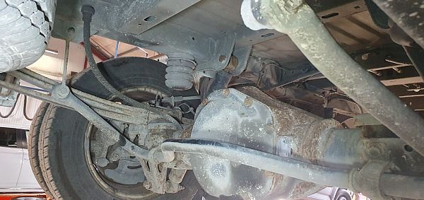 Stabilisator hinten RENAULT MASTER III Van (FV)