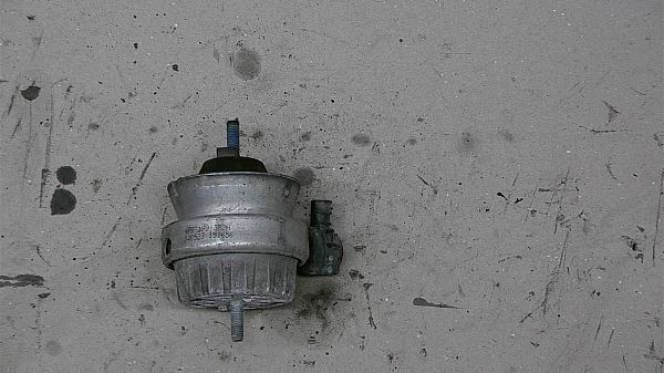 motorophæng / motorfæste AUDI A6 (4F2, C6)