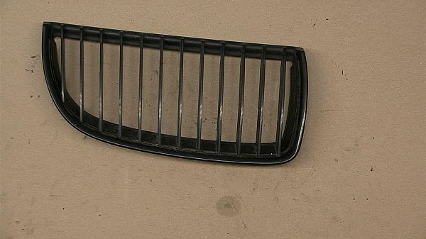Grill BMW 3 (E90)