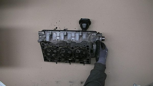 Głowica cylindra VW PASSAT (3B3)