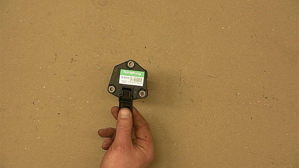 Oil level sensor