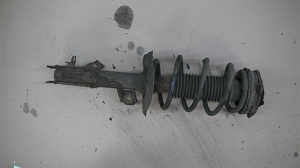 Federbein vorn NISSAN QASHQAI / QASHQAI +2 I (J10, NJ10, JJ10E)