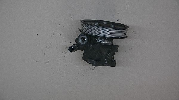 Servopumpe AUDI A6 Avant (4F5, C6)